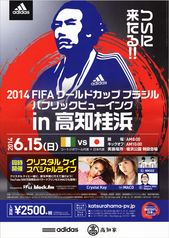 2014　FIFA ワールドカップ ブラジル パブリックビューイングin高知桂浜