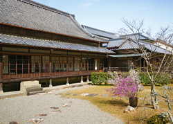 春の展示会【花衣の会】