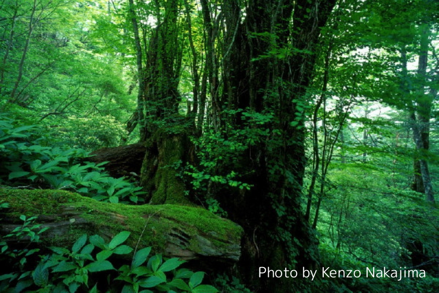 Featured images