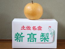 1kig̗A2`3̔ł